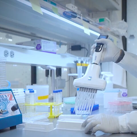 IBRI scientist working in lab