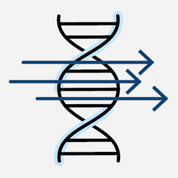 Illustration of a DNA strand with an arrow