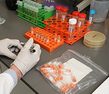 Researcher labeling protein therapeutics samples