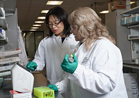 Two scientists working in the Zhang Lab