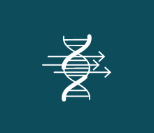 DNA strand icon