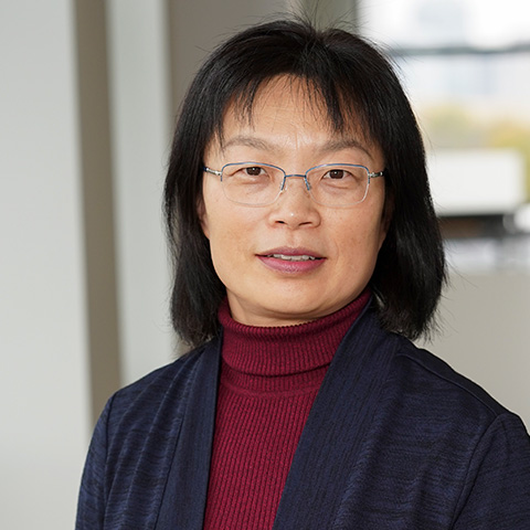 Li Zhang, PhD