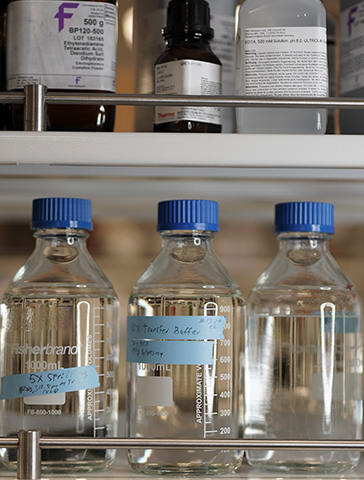 Bottles on a lab shelf